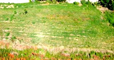 Terreno Urbano com 770,03m² em São Pedro do Butiá-RS