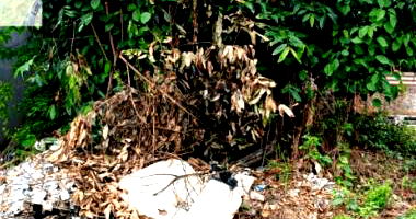 Terreno amplo de 200m² desocupado com ótima localização