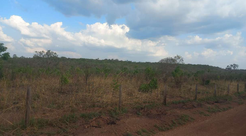 Fazenda Retiro com 377 hectares em Miracema do Tocantins