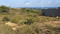 Lotes de Terrenos em Conde/PB - 200m² cada