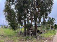 Terreno em Cambará do Sul com 491m²