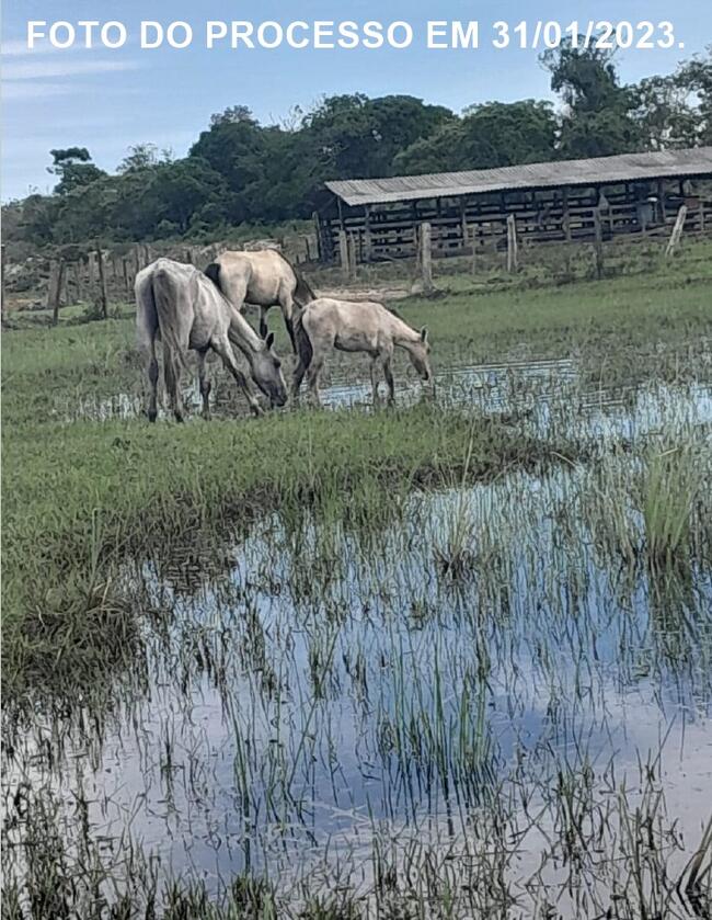 Fazenda com 104,6 ha em Vila do Riacho - Oportunidade Única!