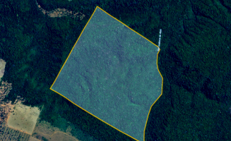 Fazenda com 401,74 hectares em Espigão D'Oeste/RO