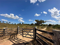 Terreno Rural em Rondon do Pará - 98 hectares