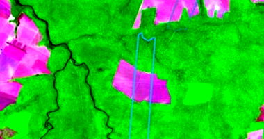 Terreno Rural 1.550 ha - Ocupado