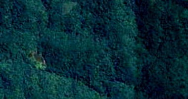 Fazenda Rural com 69,99ha à Margem da BR-116