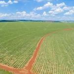 Parte Ideal de Fazenda 223 hectares em Reforma