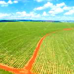 Parte Ideal de Fazenda 223 hectares em Reforma