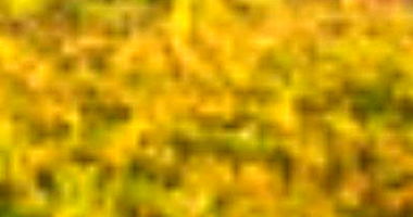 Terreno Urbano 1000m² no Loteamento Lagoa Quente, Caldas Novas