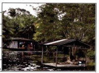 Imóvel Rural com 333.000m² em Anajás/PA