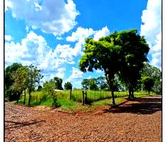 Terreno amplo com 1824 m², sem benfeitorias, ideal para investimento