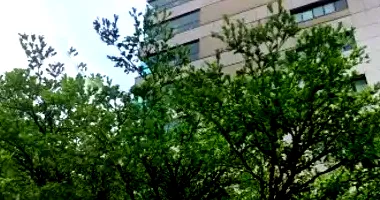 Apartamento de luxo com 4 vagas e 568,97m²