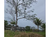 Sítio com 99 hectares, solo misto e pastagem