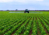 Fazenda Catalão I - 1.783 ha com soja em Loreto/MA