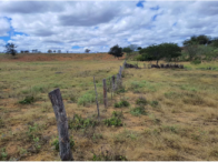Sítio com 32,5 hectares, cercado, com açude e reserva natural