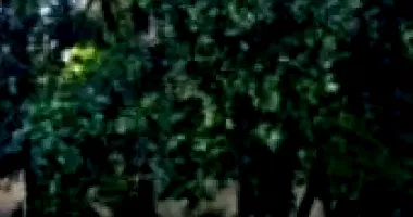 Terreno com 334,97 m² em Ponta Grossa - PR