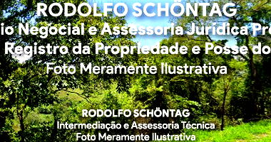 Terreno Rural 3,63ha em Passa Quatro MG - Área ampla e livre