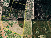 Sítio Rural 11 ha - Serra do Félix - Beberibe/CE - Oportunidade Única!