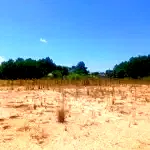 Terreno Urbano de 15.582,69 m² em Localização Privilegiada