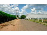 Galpão Industrial em Leilão