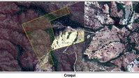 Fazenda Canastrinha - 67,0907 HA - Desocupada