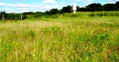 Terreno Urbano em Brodowski/SP - Lote 4 com 960m²