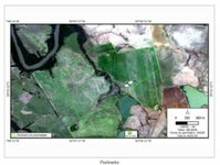 Fazenda do Ipê com 263 hectares - Imóvel