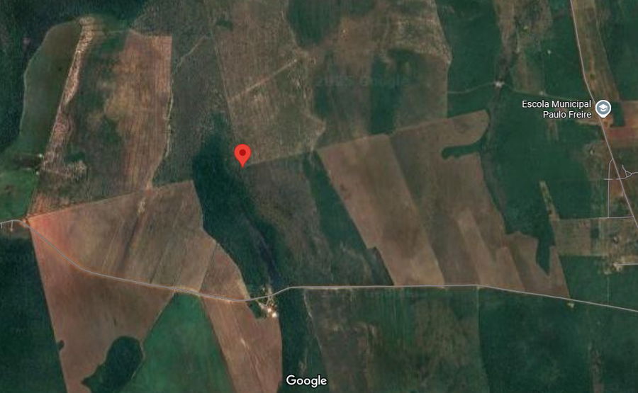 Espaçosa Fazenda Rural com 163 ha de Área, Ocupada e Pronta para Exploração