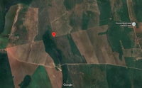 Espaçosa Fazenda Rural com 163 ha de Área, Ocupada e Pronta para Exploração