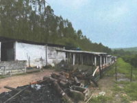 Chácara/Sítio com 4 ha, ideal para investimento rural