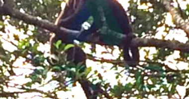 Terreno em Condomínio Reserva das Hortências - Mairiporã/SP