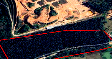 Área Rural com 6,07 ha, ocupada, ideal para investimento