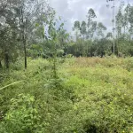 50% de Área de Terrenos em Montenegro/RS