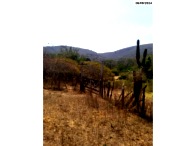 Parte ideal de fazenda com 148 hectares em Planalto/BA