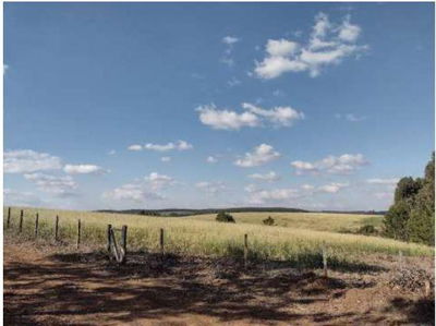 Terreno Rural de 7,96ha em Guarapuava - Oportunidade Única!