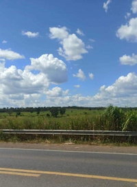 Fazenda Gameleira com 10.519.320m² em Lagoa Grande/MG -
