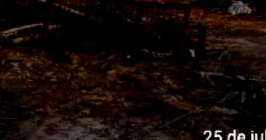 Terreno amplo com 0m², sem construção, desocupado