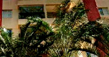 Apartamento Duplex Ocupado com 3 Vagas na Vila Guilherme