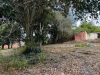 Lote com 4004.15 m² em Alagoinhas