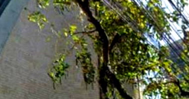 Sala Comercial com 1 banheiro, 1516, desocupada