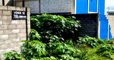 Terreno Amplo em Feira de Santana - 1.309,81m²