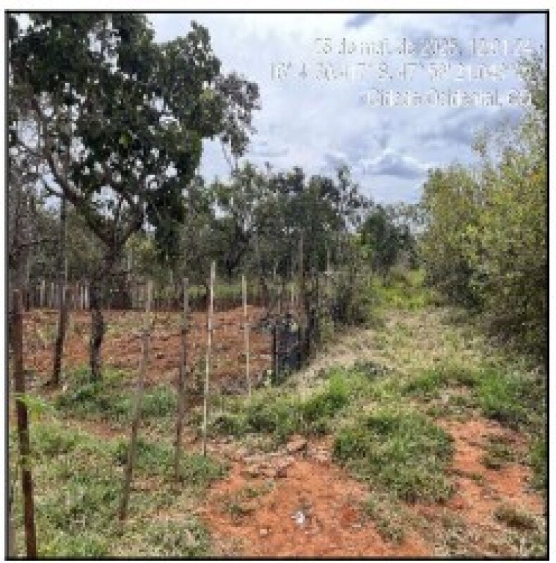 Terreno em Cidade Ocidental - 1000m²