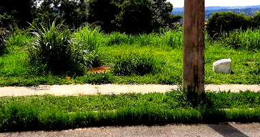 Terreno amplo de 289,40 m² com potencial residencial e comercial