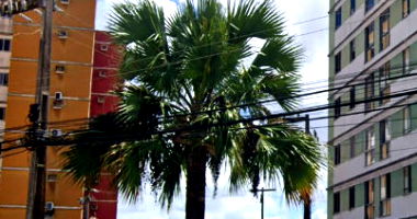 Apartamento com 2 quartos, 1 banheiro, 61.87m², ocupado