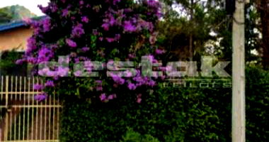 Casa com 3 dormitórios e edícula em Campinas/SP
