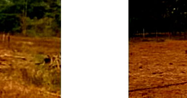 Terreno com 797 m² em Alexânia - GO