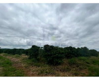 Terreno Rural 3,26 ha em Palmeiras - Campos Gerais/MG