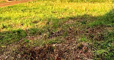 Terreno com 366,69m² em Erechim/RS