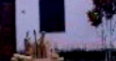 Casa Ocupada com Amplo Terreno em Presidente Tancredo Neves/BA