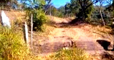 Fazenda Rio dos Bois em Silvânia/GO com 54 Ha